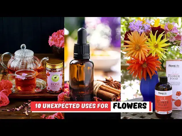 'Video thumbnail for 10 Unexpected Uses for Flowers'