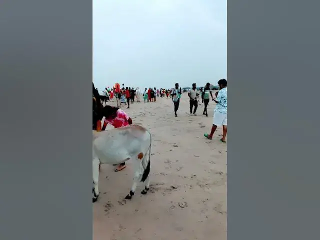 Video thumbnail for Sagar Kinare #music #song #love #bollywood #hindisong #funny #varsha #comedy #varshaofficial