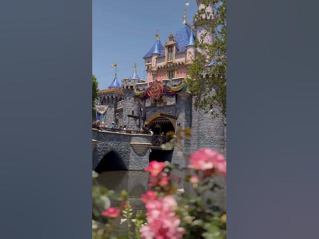 Video thumbnail for A beautiful moment at Disneyland!