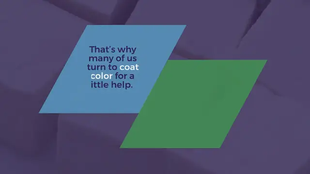 Video thumbnail for 250 White Dog Names Ideas (By Category)