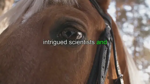 Video thumbnail for Are Horses and Zebras Related? Fascinating Facts