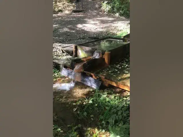 Video thumbnail for Scenic Bike Ride with a Peaceful Spring Stop 🚴‍♂️💧 #naturebreak