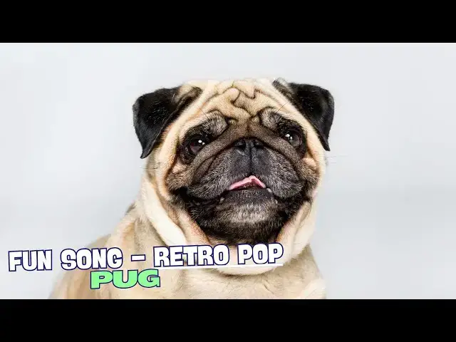 Video thumbnail for 🎶 "Little Dog with a Wrinkled Snout" - A Fun Song about Pugs! 🐾