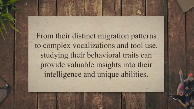 Video thumbnail for Behavioral traits and learning in birds