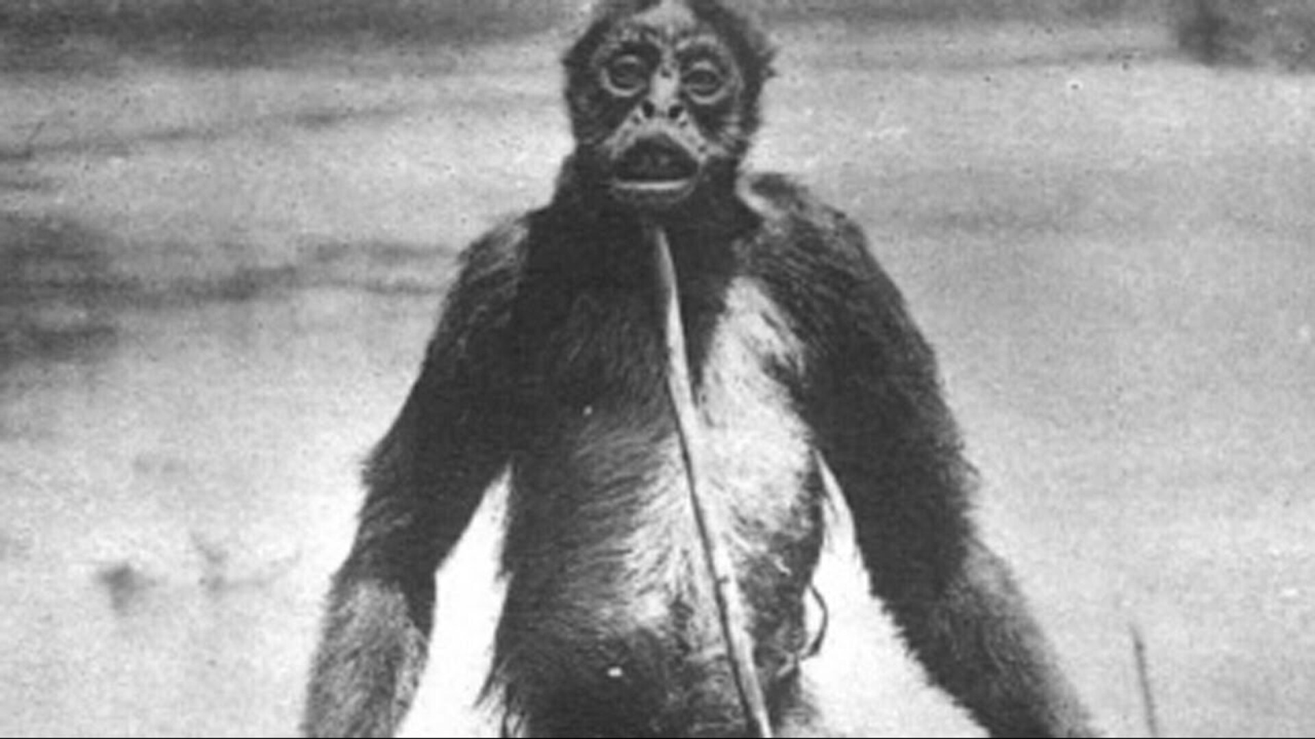Video thumbnail for The Real Stories Behind These Incredibly Bizarre Photographs