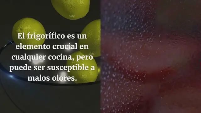 Video thumbnail for Cómo eliminar los malos olores en el frigorífico con remedios naturales