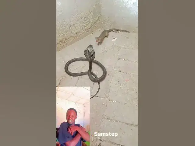 Video thumbnail for catch me if you can 😁👀 watch till end 🤣🤣#funny #comedy