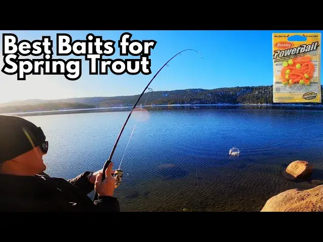 Video thumbnail for Best Baits for Spring Trout Fishing | Big Bear Lake Fishing | Day 1