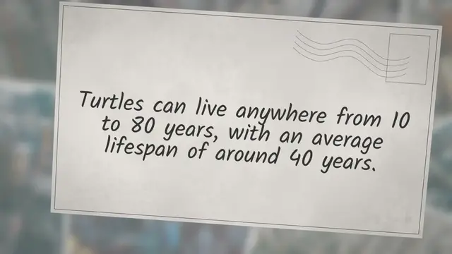 'Video thumbnail for how long does a pet turtle live? turtlevoice'