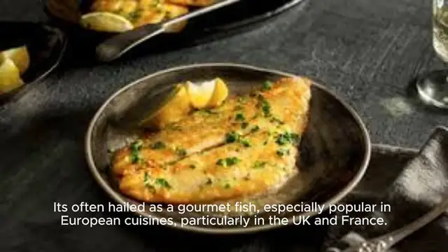Video thumbnail for Dover Sole – A delicate, flat fish Pan-fried