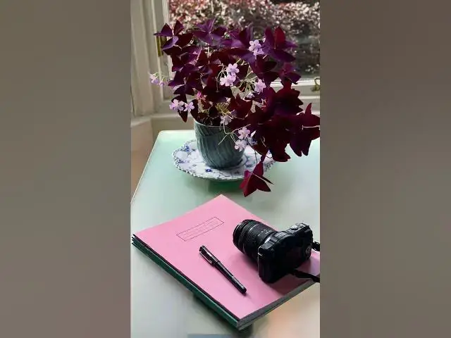 'Video thumbnail for 5 Genius Tricks to Make Your Oxalis Bloom Like Crazy!'