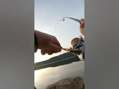 'Video thumbnail for Campin N Fishing #fishing #camping'