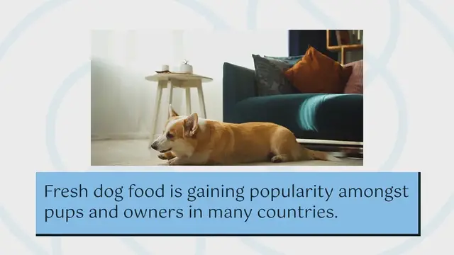 Video thumbnail for Freshpet: reviews, general information and price