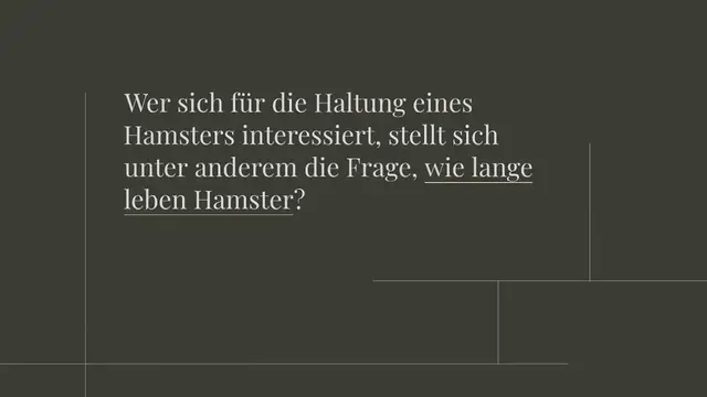 Video thumbnail for Lebenserwartung Hamster: Wie alt werden Hamster?