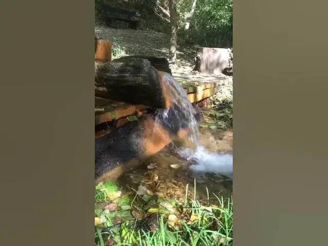 Video thumbnail for Spring Water Flowing Through October's Fall 🍂💧 #naturevibes