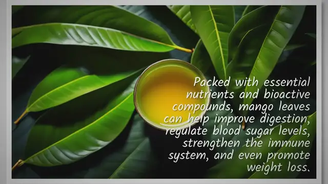 'Video thumbnail for Unlock the Secrets of Mango Leaves: Boost Your Health with Mango Leaf Tea!'