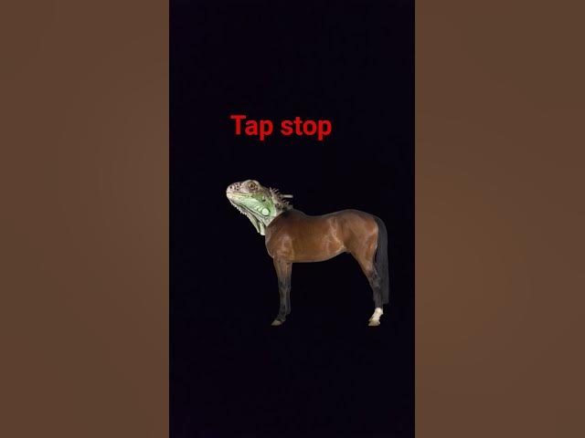 Video thumbnail for 14 February 2026