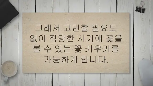 'Video thumbnail for 계절별 꽃 18가지, 집이 화사해집니다.'