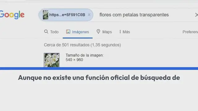 Video thumbnail for Encontrar a una persona en Facebook usando imágenes