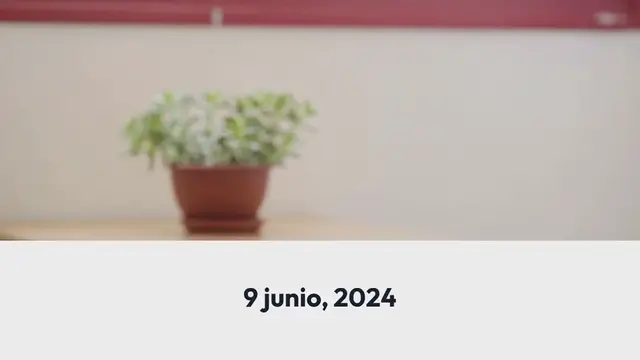 Video thumbnail for ¿Qué es una PBN?