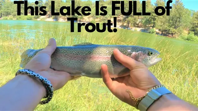 Video thumbnail for TROUT Fishing California Mountain Lake FILLED with FISH || Green Valley Lake