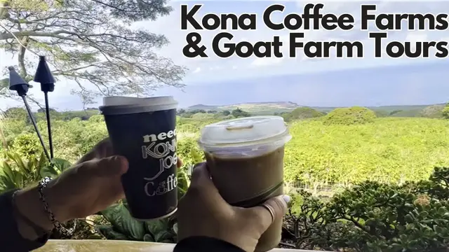 Video thumbnail for Hawaii Big Island Coffee Farm Tour & Goat Dairy Tour