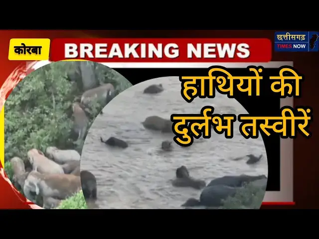 'Video thumbnail for हाथियों के झुंड की दुर्लभ तस्वीरें पानी मस्ती करते नन्हे हाथी ड्रोन कैमरा से ली गई ll वीडियो ll'
