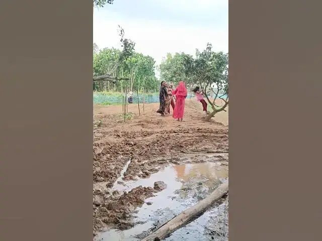 'Video thumbnail for গ্রামের প্রাণ জুড়ানো আবহাওয়া #shorts'