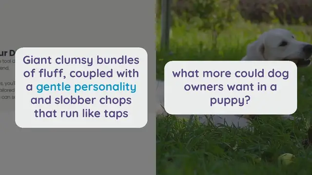 Video thumbnail for 500+ Big Dog Names for Oversized Pups