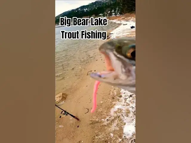 'Video thumbnail for 🪱 Worms  = 🎣 Trout | Big Bear Lake Fishing'