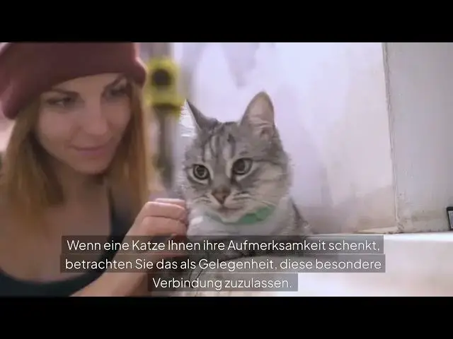 'Video thumbnail for Warum suchen Katzen die Nähe von Menschen, die sie nicht mögen?'