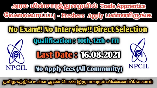 Video thumbnail for 🌟 அரசு மின்சாரத்துறையில் trade apprentice வேலைவாய்ப்பு | Freshers | jobs in Tamilnadu