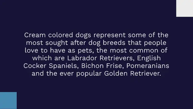 Video thumbnail for 280+ Cream Dog Names For Your Light-Colored Pup