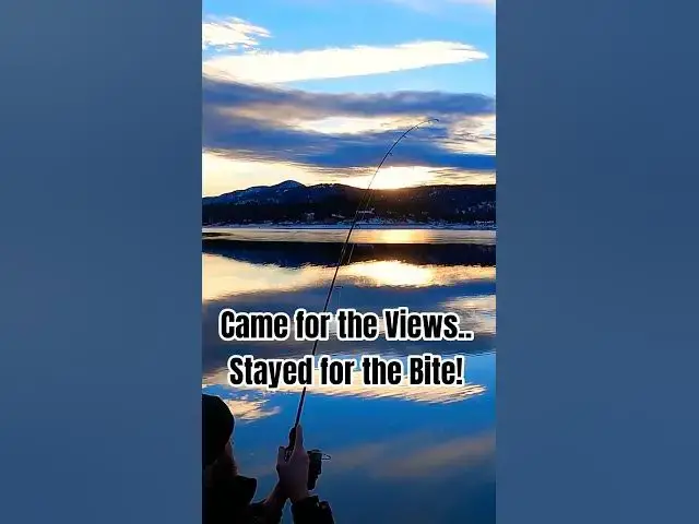 'Video thumbnail for Went to "Relax"... Fish Had Other Plans 🏞🎣'