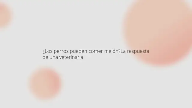 Video thumbnail for ¿Los perros pueden comer melón? La respuesta de una veterinaria