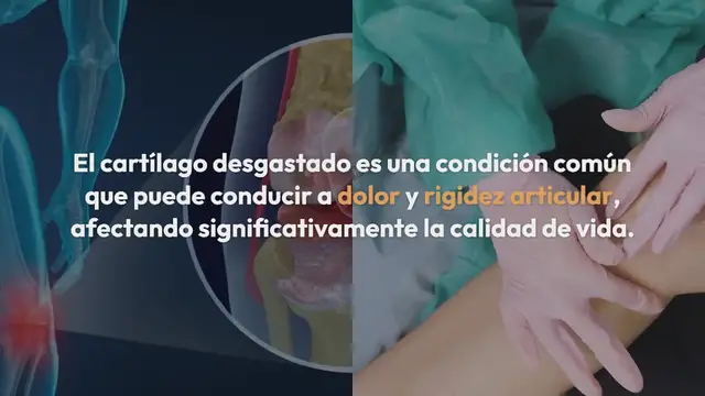 Video thumbnail for Aprende cómo regenerar el cartílago desgastado usando estas vitaminas