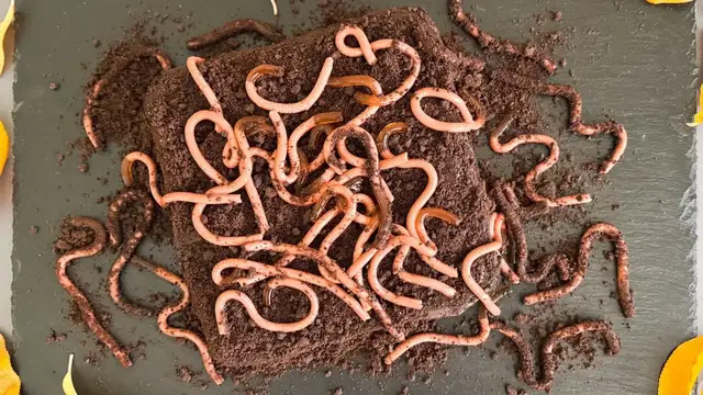 'Video thumbnail for Dirt Patch Halloween Brownies Recipe'