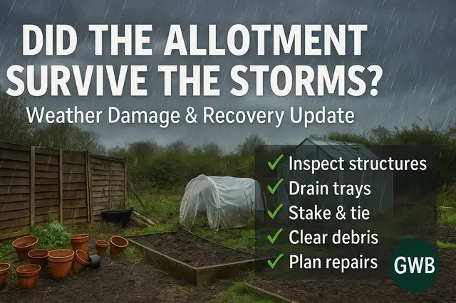 'Video thumbnail for ✅ Did the Allotment Survive the Storms? | Weather Damage & Recovery Tips'