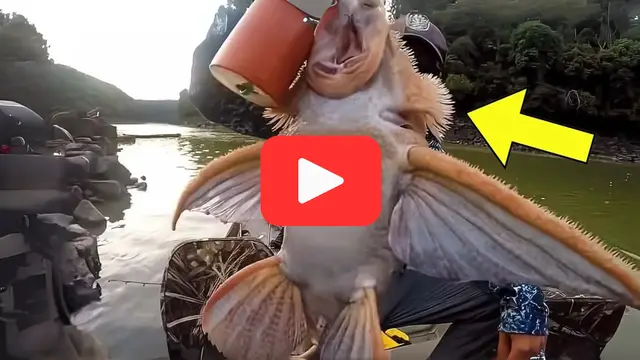 Video thumbnail for Fisherman’s Shocking Find in the Deep Leaves Experts Stunned