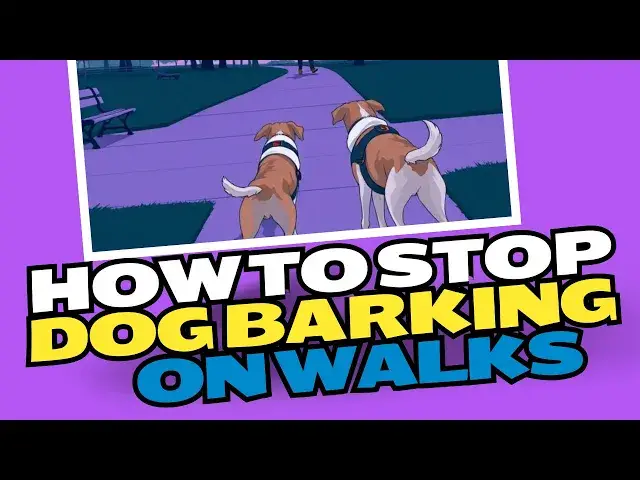 Video thumbnail for How To Stop Dog Barking When On Walks