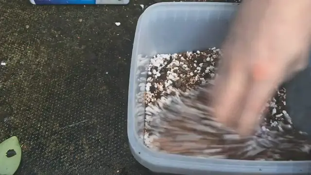 Video thumbnail for How I Make Bonsai Soil