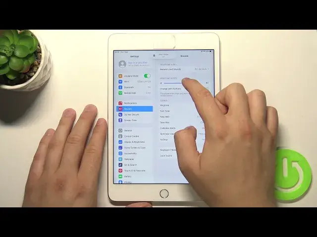 'Video thumbnail for How to Customize Ringtone Volume on iPad mini 4 – Manage Sound Settings'