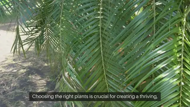 Video thumbnail for Best Plants For Coastal Landscaping