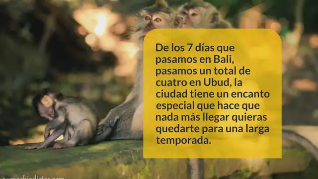 Video thumbnail for Untitled_video_32 (3)