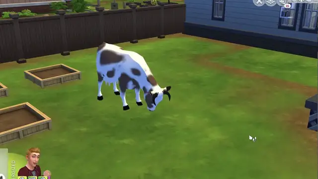'Video thumbnail for Dairy Cow mod Work in Progress'
