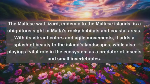 Video thumbnail for Exploring Malta's Wildlife Treasures: Top 10 Native Animals in the Mediterranean Gem