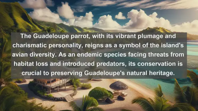 Video thumbnail for Top 10 native fauna in Guadeloupe