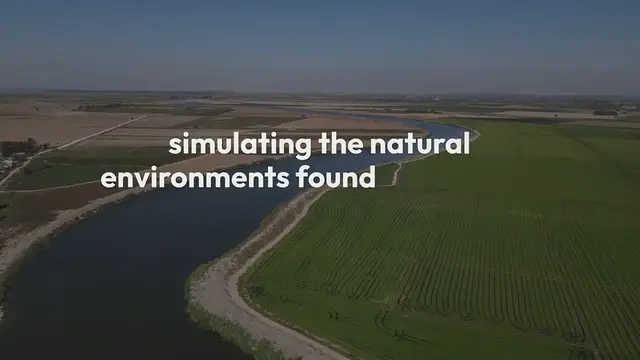 Video thumbnail for Bog Garden Planting Tips