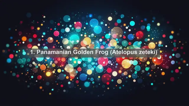 Video thumbnail for Discovering Panama's Ecological Marvels: Top 10 Native Fauna