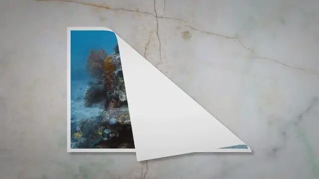 Video thumbnail for Deep Blue Mystery In The Hearts Of Indonesia: The Underwater Temple Garden